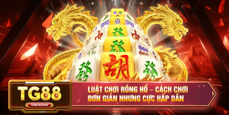 Luật Chơi Rồng Hổ – Cách Chơi Đơn Giản Nhưng Cực Hấp Dẫn