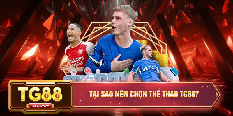 Tại Sao Nên Chọn Thể Thao TG88?